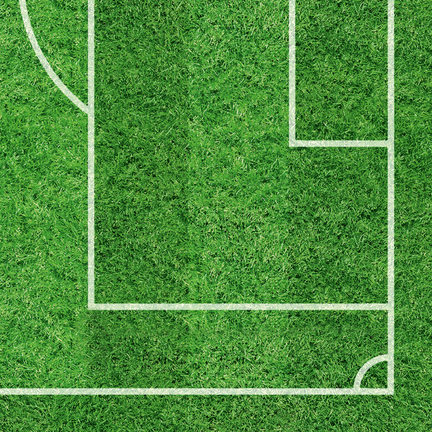 schreibgefuehl-motivordner-rasenplatz-fussball-gruen-detail